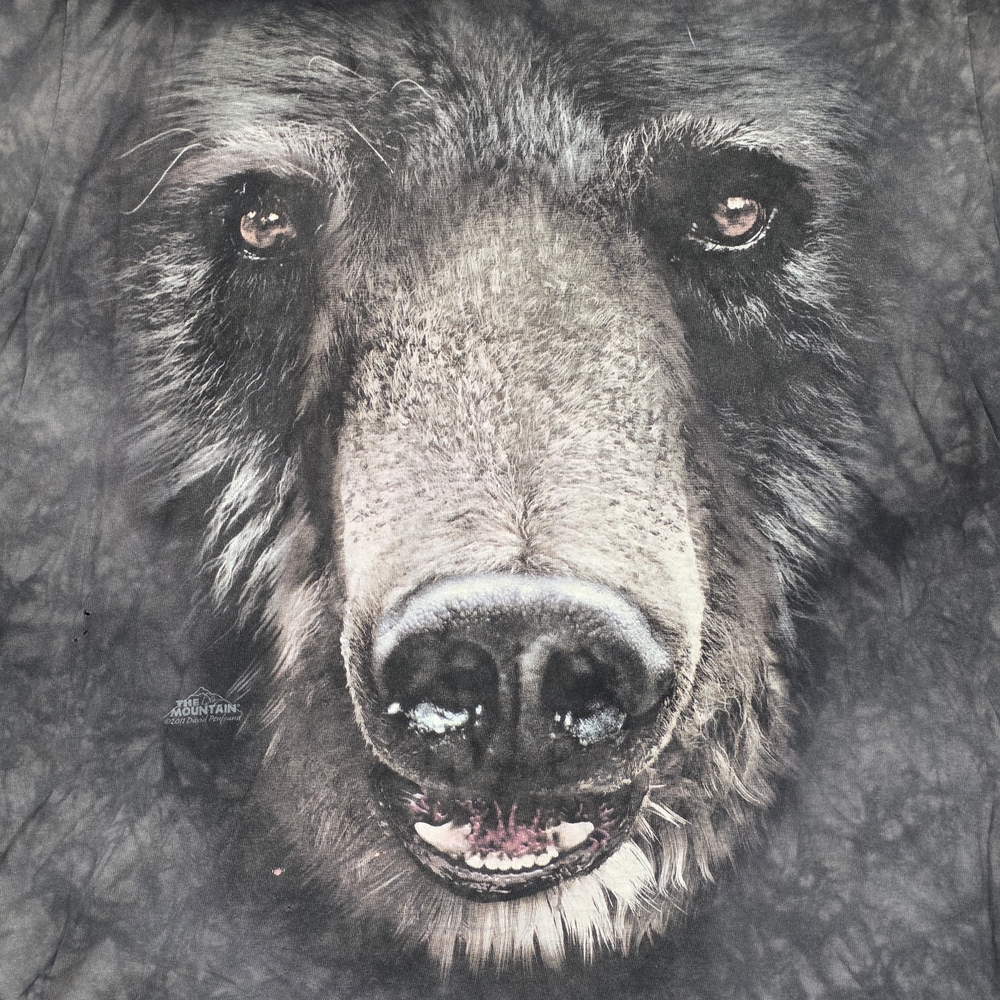 The Mountain Bear Face Graphic T-Shirt - Picture 2 of 7